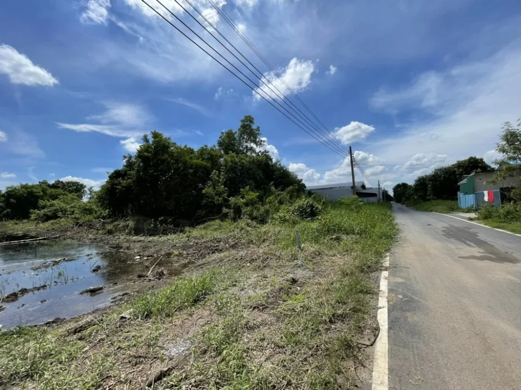 ขายถูก ที่ดินหมู่บ้านการเคหะเกษตร 21 รอยต่ดนนทบุรี นครปฐม อ บางใหญ่ นนทบุรี