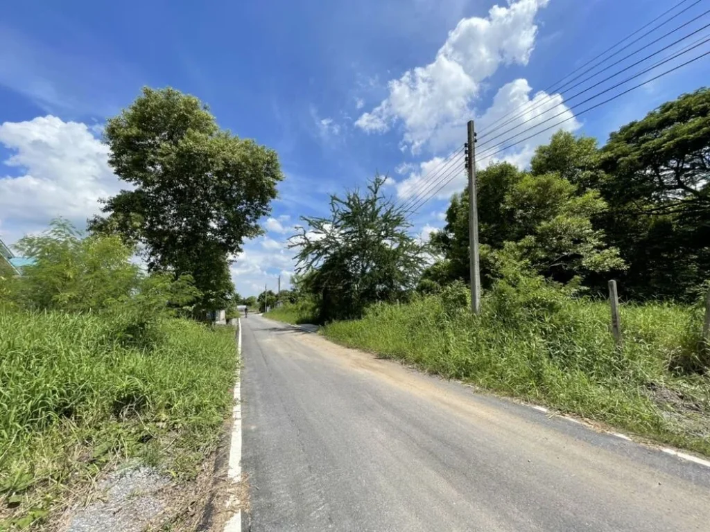 ขายถูก ที่ดินหมู่บ้านการเคหะเกษตร 21 รอยต่ดนนทบุรี นครปฐม อ บางใหญ่ นนทบุรี