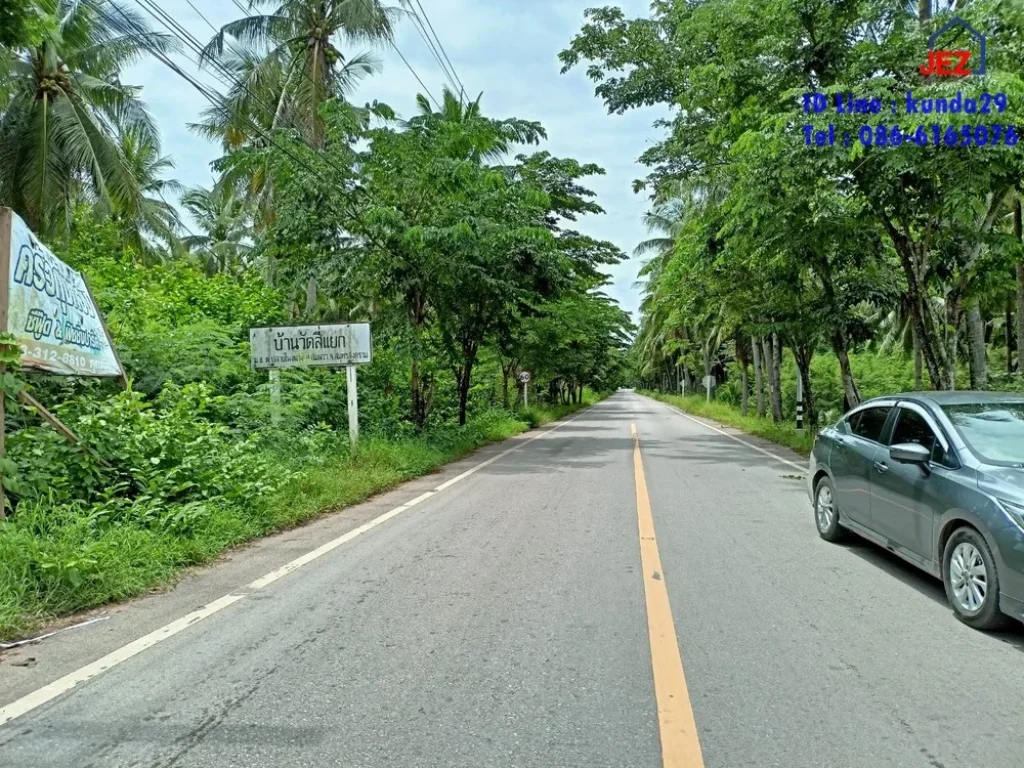 ที่ดินสวนมะพร้าวเก็บเกี่ยวผลผลิตได้ติดถนนดำ ออัมพวา จสมุทรสงคราม พื้นที่ 5-1-27 ไร่ ราคา 4700000 บาท