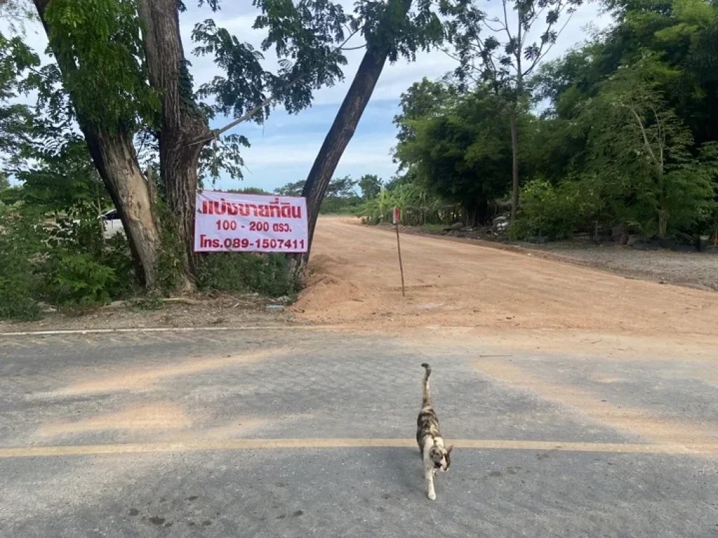 ขายที่ดินอยู่ในซอยรีสอร์ทเก็บตะวันติดหมู่บ้านเทวีโฮม บ้านฉาง จระยอง