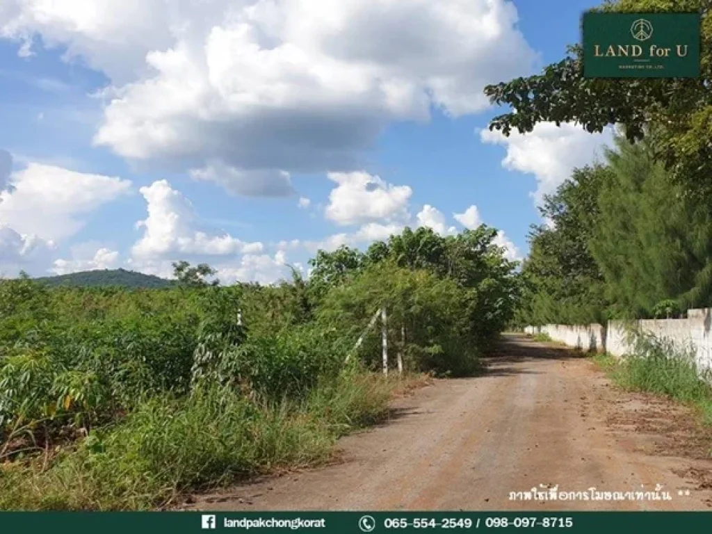 ขายที่ดินเขาใหญ่ ที่ดินแบ่งแปลงเขาใหญ่ติดถนนวิวภูเขา-บ้านคลองปูน ด้านหน้าติดถนนลาดยาง มองวิวเขาใหญ่และวิวเขาจันทร์