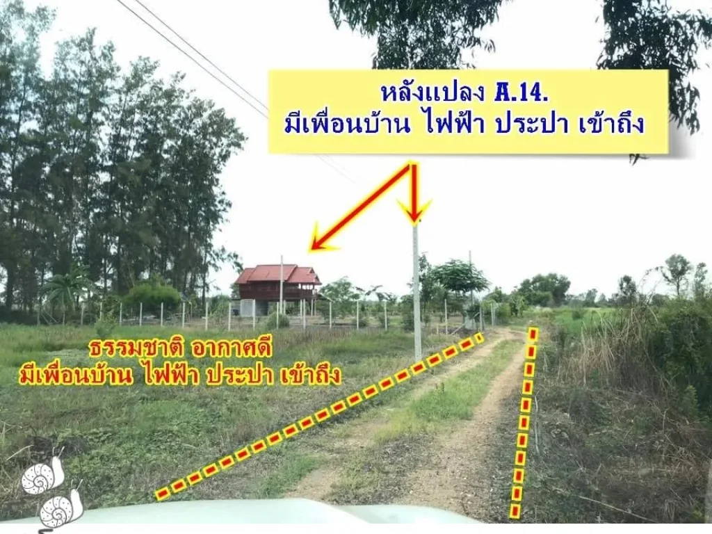 ขายที่ดินผ่อนได้ ทำเลดีติดถนนทางหลวง มีบ่อน้ำในแปลง เหมาะทำธุรกิจแนวสวนเกษตร