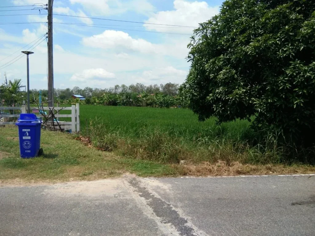 ขายที่ดินโฉนด เนื้อที่ 2 ไร่ เป็นทุ่งนา ติดถนนลาดยาง วิวสวย