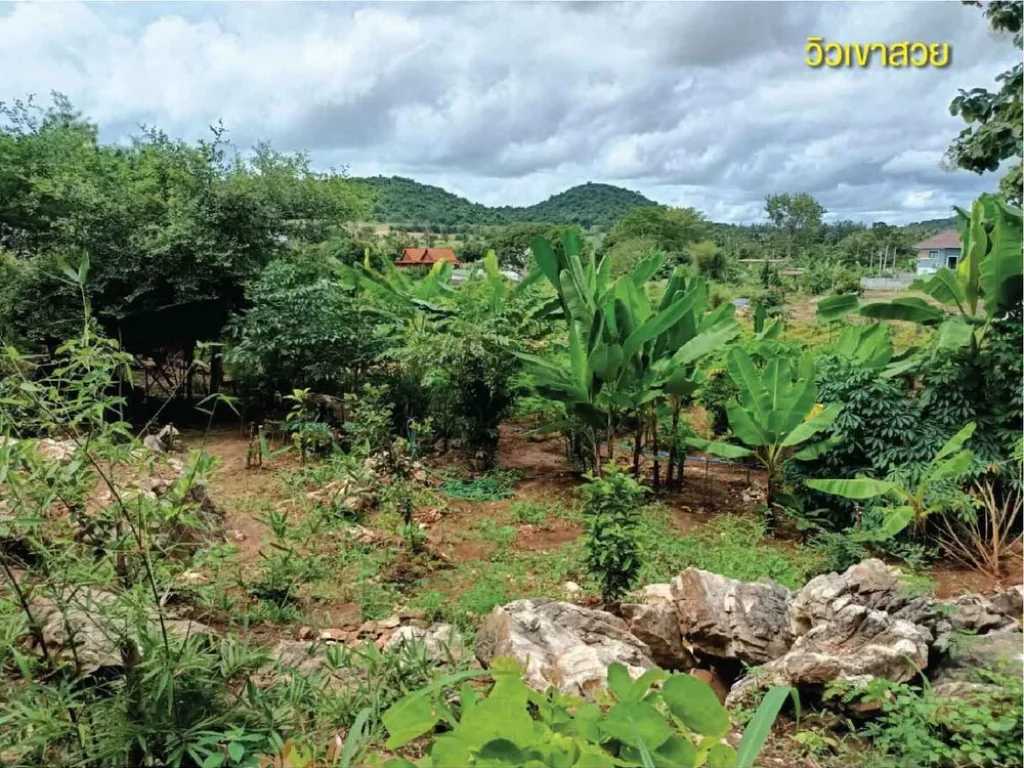 ที่ดินสัตหีบติดป่าสงวนติดถนนหลวง332 1 ไร่ 92 ตรว69ล้าน