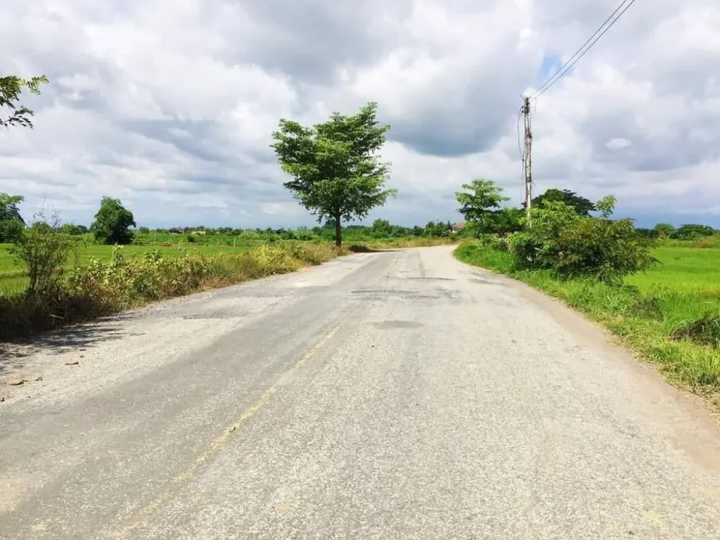 ขายที่ดินห้วยยาบบ้านธิ ติดถนนคอนกรีต วิวดอย ราคาถูกพร้อมโอน