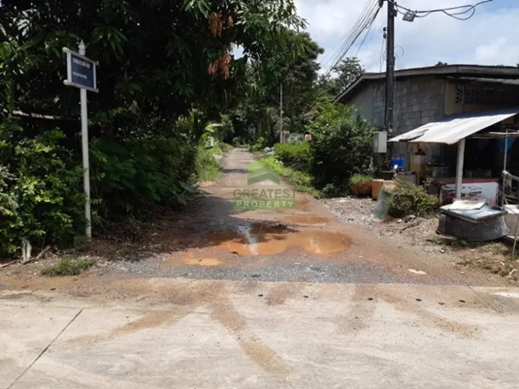 ขายด่วน ที่ดินเปล่า ซอยบุญราศรีอุทิศ ตำบลคลองขุด สตูล เนื้อที่ 250 ตรว ทำเลดี