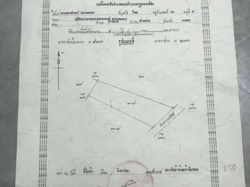 ขายที่ดินยกแปลงพร้อมโฉนด ใกล้นิคมอุสาหกรรมโรจนะบ้านค่าย ตหนองบัว จระยอง Rich 0608porn