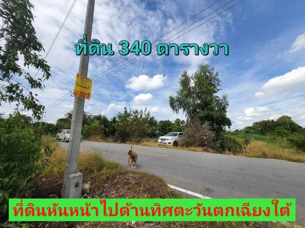 ขายที่ดินบางภาษี 370 ตารางวา ติดคลอง เหมาะสร้างบ้าน ใกล้วัดบึงลาดสวาย อบางเลน จนครปฐม