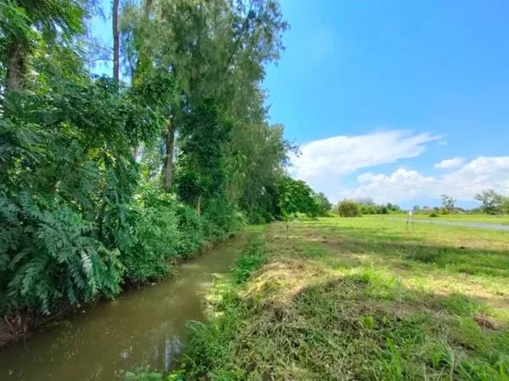 ที่ดินเปล่าแบ่งขาย วิวหลักล้าน ราคาหลักแสน อสันกำแพง จเชียงใหม่