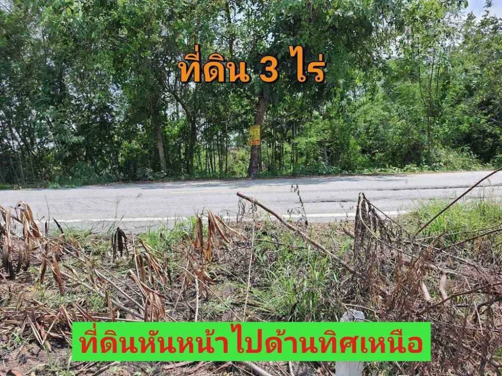 ขายที่ดินราคาถูกมาก 3 ไร่ ใกล้ มหาวิทยาลัยชินวัตร ติดถนน ปท3047 ตบางเตย อสามโคก จปทุมธานี