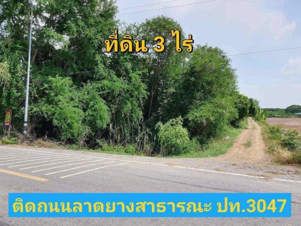 ขายที่ดินราคาถูกมาก 3 ไร่ ใกล้ มหาวิทยาลัยชินวัตร ติดถนน ปท3047 ตบางเตย อสามโคก จปทุมธานี