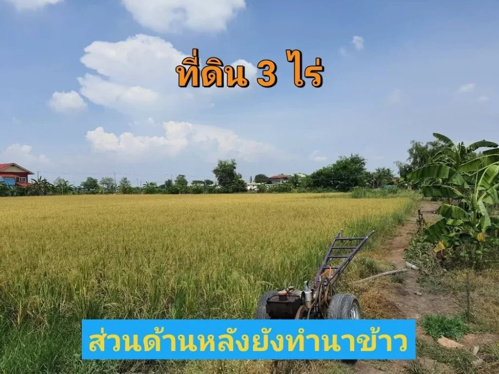 ขายที่ดินราคาถูกมาก 3 ไร่ ใกล้ มหาวิทยาลัยชินวัตร ติดถนน ปท3047 ตบางเตย อสามโคก จปทุมธานี