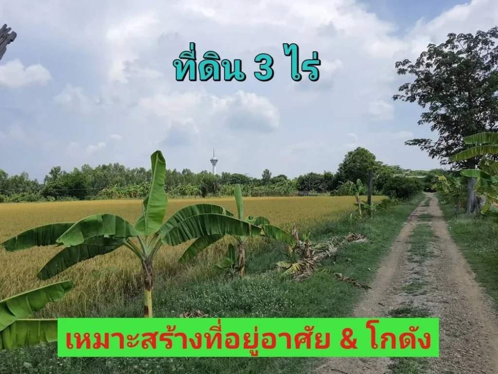 ขายที่ดินราคาถูกมาก 3 ไร่ ใกล้ มหาวิทยาลัยชินวัตร ติดถนน ปท3047 ตบางเตย อสามโคก จปทุมธานี