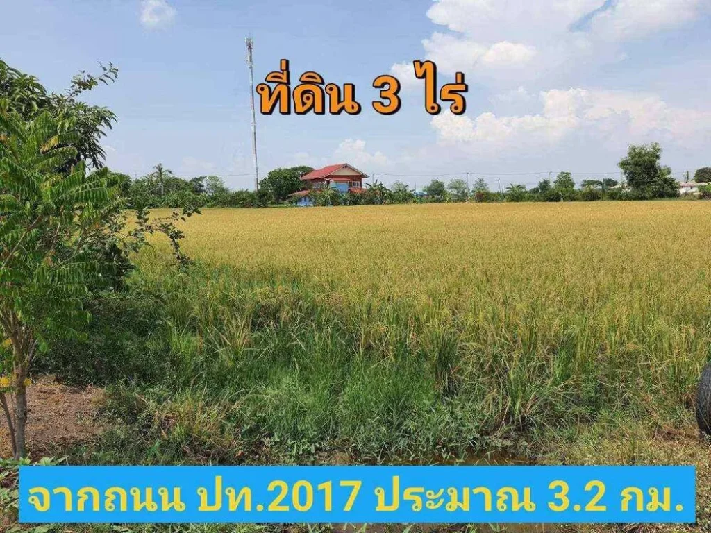 ขายที่ดินราคาถูกมาก 3 ไร่ ใกล้ มหาวิทยาลัยชินวัตร ติดถนน ปท3047 ตบางเตย อสามโคก จปทุมธานี