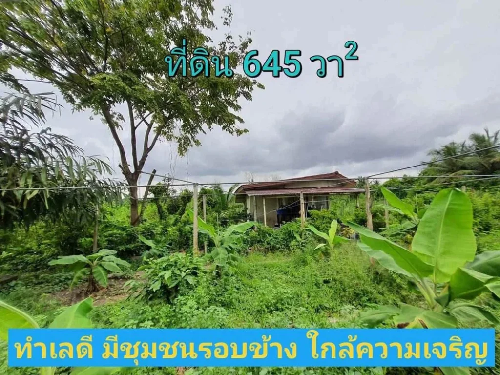 ขายที่ดินทำเลดี 645 ตารางวา แบ่งได้ แปลงมุม ใกล้โรงพยาบาลบางกรวย จนนทบุรี