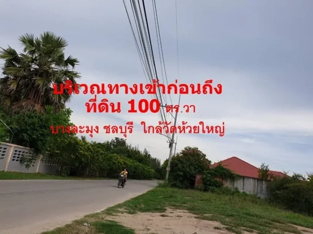 ขายที่ดิน 100 ตรวา บางละมุง ชลบุรี ใกล้วัดห้วยใหญ่ ใกล้การ์เด้นท์วิลล์ 2 ห้วยใหญ่ พัทยา