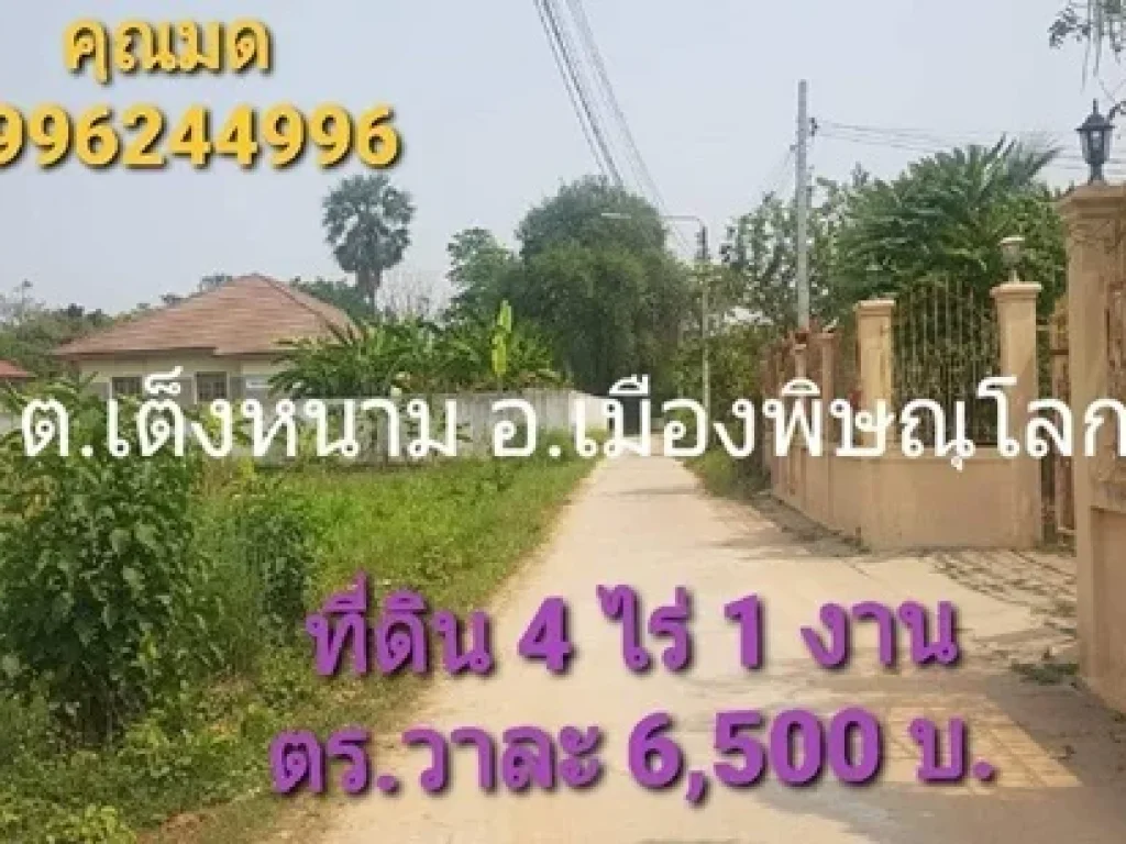 ที่ดินโซนใกล้แยกเต็งหนาม ตหัวรอ อเมือง จพิษณุโลก