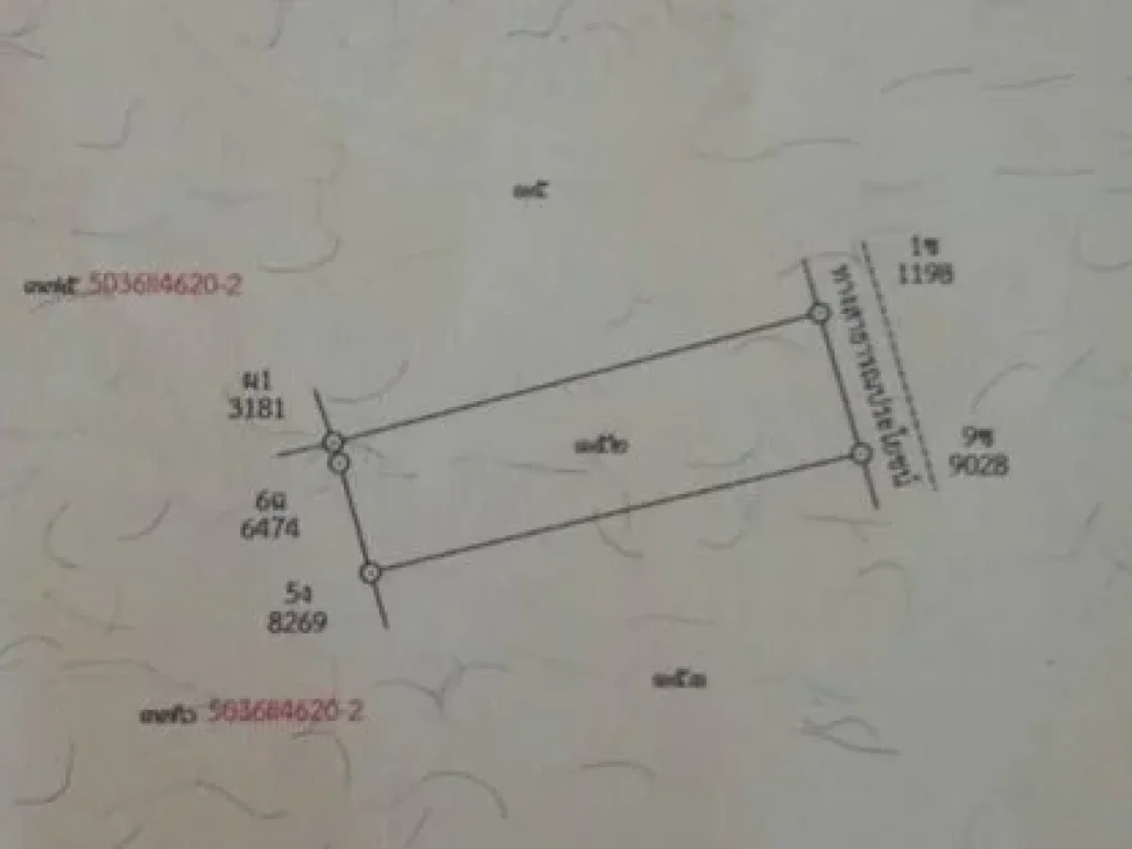 ขายที่ดิน 495ตรว ถพุทธมลฑลสาย3 ถมแล้ว เหมาะสร้างที่อยู่อาศัย SSP-FL-0429