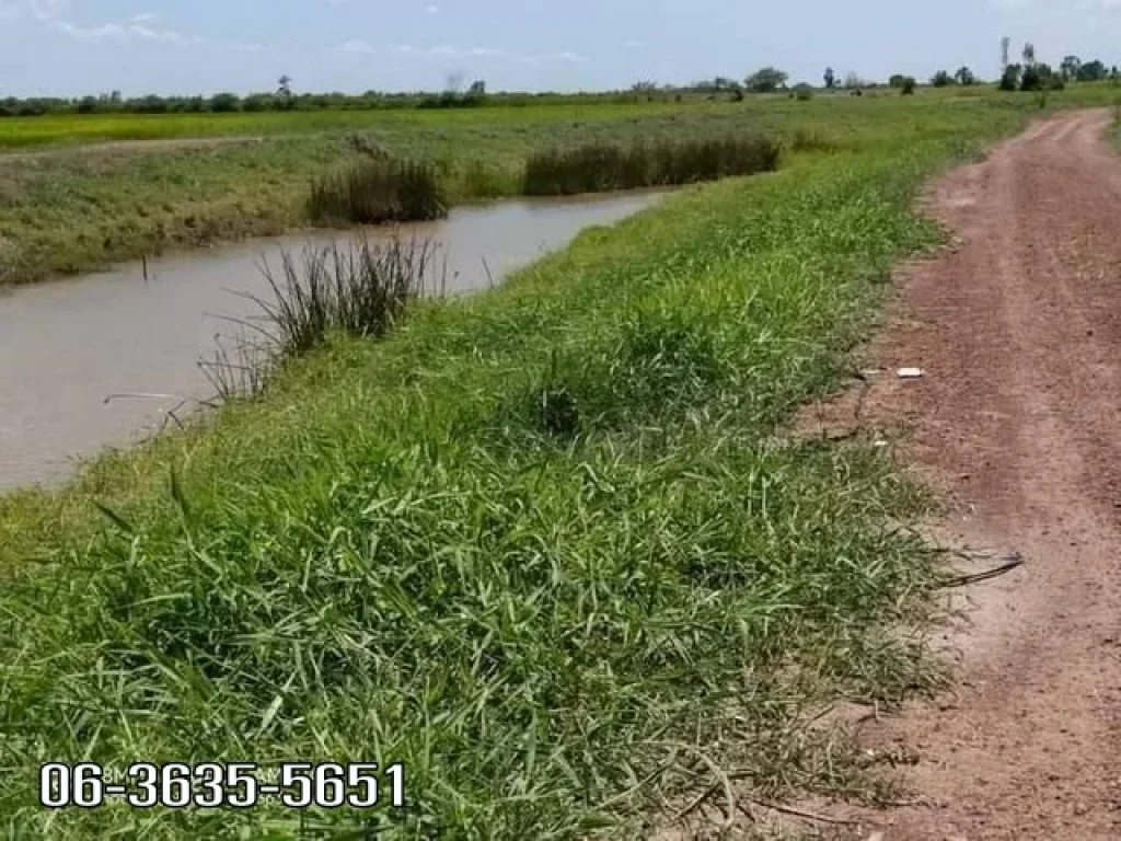 ขายที่ดินอากาศดี วิวเขาสวย ตปากพลี อปากพลี จนครนายก ห่างชุมชนวัดหนองบัวขอนประมาณ 1 กม