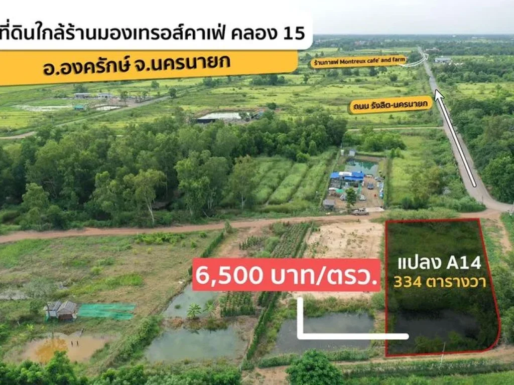 ที่ดินเงินผ่อน แปลงA14เนื้อที่ 334 ตร วา ที่ดินสวนเกษตร คลอง1ุ6 นครนายก ใกล้ร้าน มองเทรอส์ คาเฟ่ แอนด์ ฟาร์ม