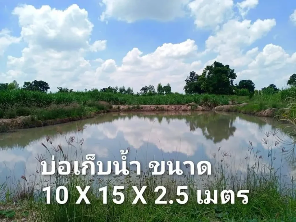 ขายที่ดิน 10ไร่ ที่ดินสวย ใกล้ศูนเกษตรต้นเเบบ เนินขาม ชัยนาท