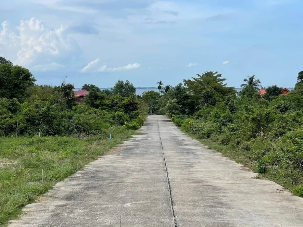 ที่ดินเกาะยอ สงขลา ใกล้ทะเล วิวดี อากาศดี เนื้อที่ 372 ตรวา