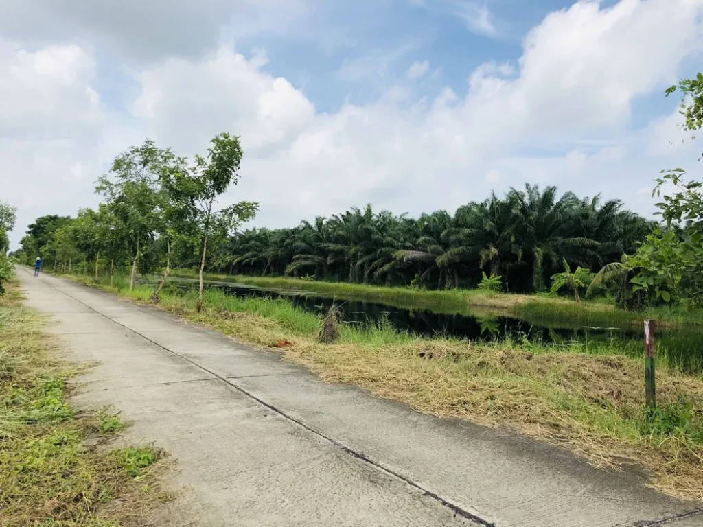 ที่ดินอำเภอหนองเสือ เลียบคลอง10ฝั่งตะวันตก ซอยเทศบาล 13 ขนาดพื้นที่ 970 ตรวา