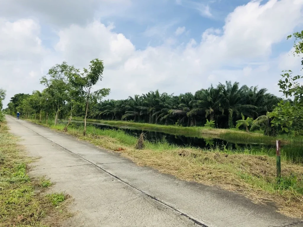 ที่ดินอำเภอหนองเสือ เลียบคลอง10ฝั่งตะวันตก ซอยเทศบาล 13 ขนาดพื้นที่ 970 ตรวา