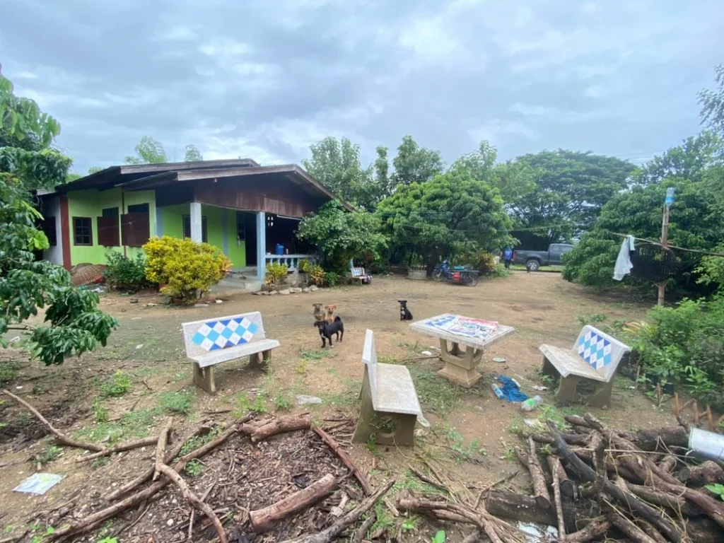 ขายสวนลำไยพร้อมบ้านสวนติดถนนคอนกรีตติดแม่น้ำปิง ห่างทางหลวงเพียง 300 เมตร