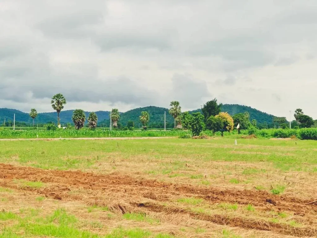 ขายที่ดินอู่ทอง สุพรรณวิวเขาสวย 200 ตรว งบน้อยก็ซื้อได้ปลูกบ้านปลูกผักอยู่ยามเกษียณ