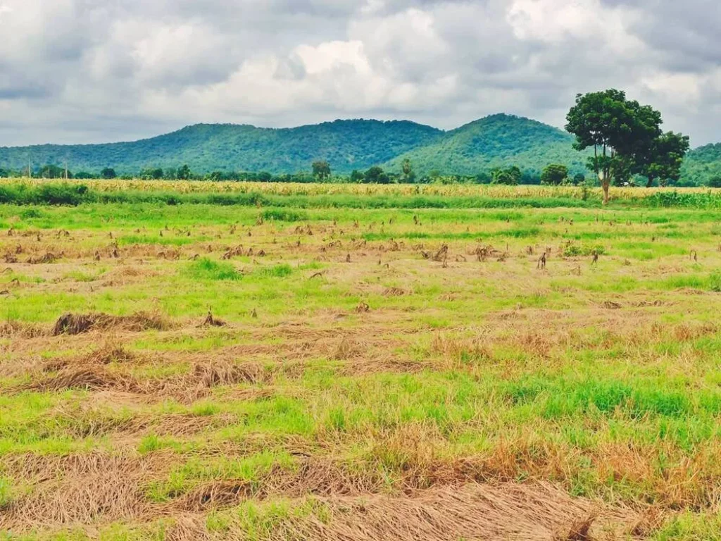 ขายที่ดินอู่ทอง สุพรรณวิวเขาสวย 200 ตรว งบน้อยก็ซื้อได้ปลูกบ้านปลูกผักอยู่ยามเกษียณ