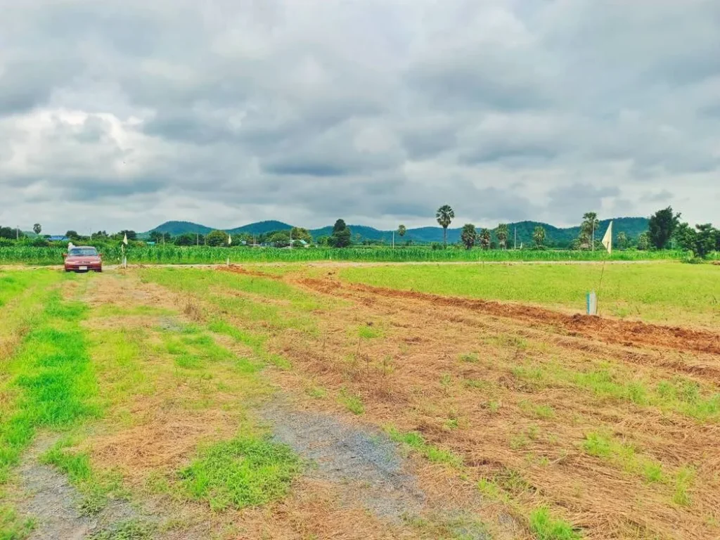 ขายที่ดินอู่ทอง สุพรรณวิวเขาสวย 200 ตรว งบน้อยก็ซื้อได้ปลูกบ้านปลูกผักอยู่ยามเกษียณ