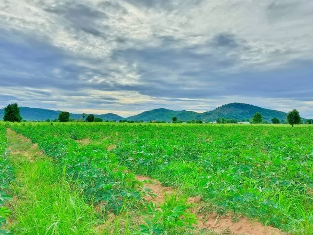 ขายที่ดินอู่ทองวิวเขาสวยโอบล้อม ใกล้วัดเขาดีสลัก พื้นที่อุดมสมบูรณ์เหมาะสร้างบ้านสวนยามเกษียณ