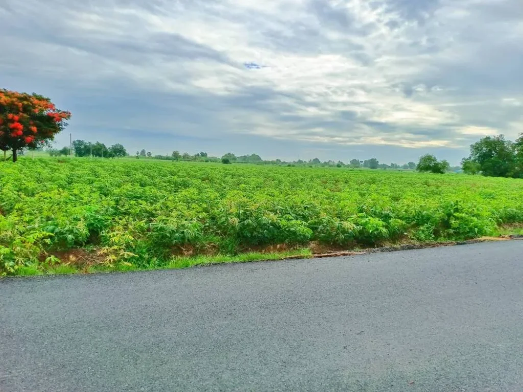 ขายที่ดินอู่ทองวิวเขาสวยโอบล้อม ใกล้วัดเขาดีสลัก พื้นที่อุดมสมบูรณ์เหมาะสร้างบ้านสวนยามเกษียณ