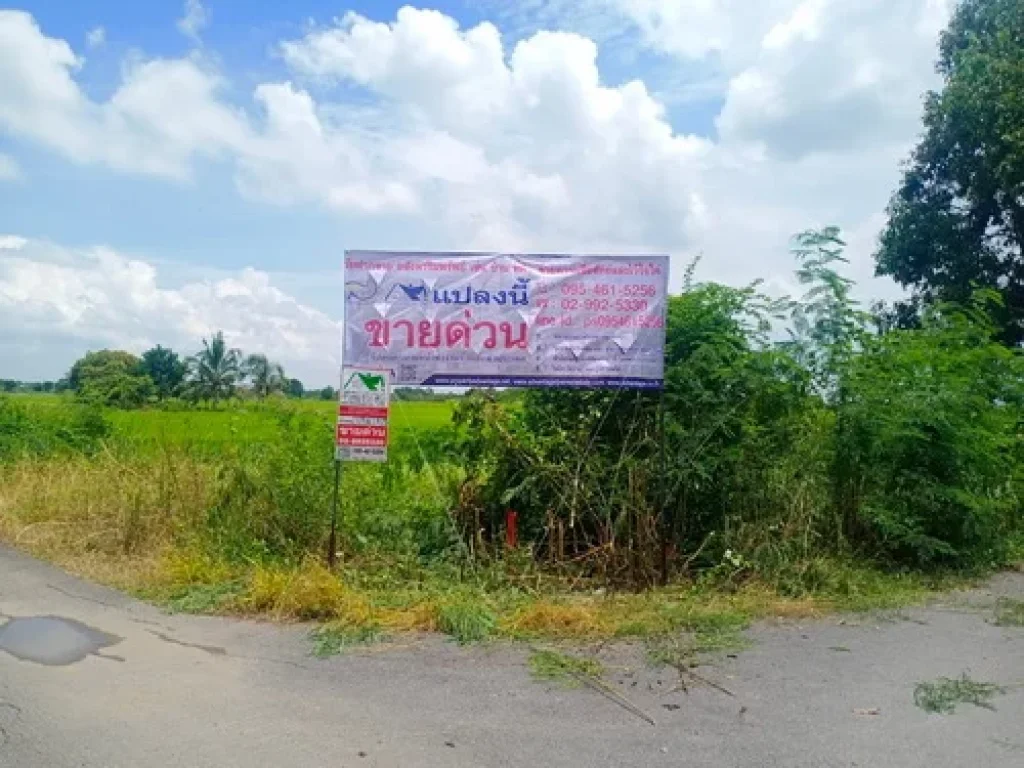 ขายที่ดินจัดสรร 100 ตรว แขวงทับยาว เขตลาดกระบัง จกรุงเทพมหานคร