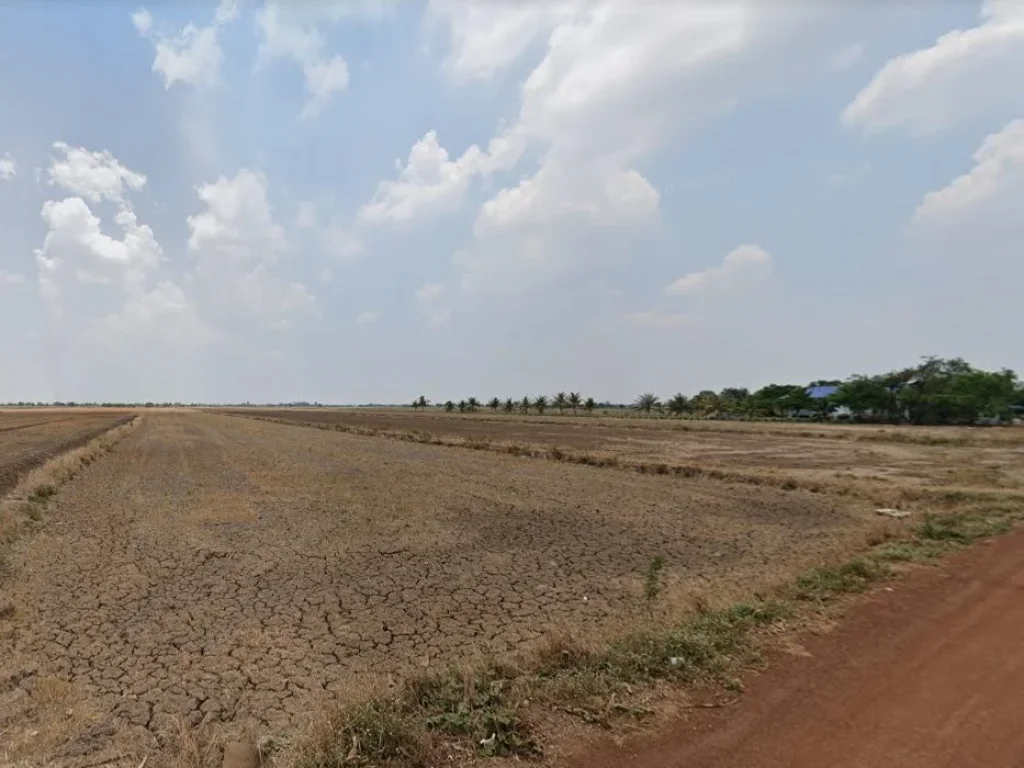 ขายที่ดินบางน้ำเปรี้ยว 13 ไร่ ใกล้สถานีรถไฟโพรงอากาศ - 2 กม จฉะเชิงเทรา