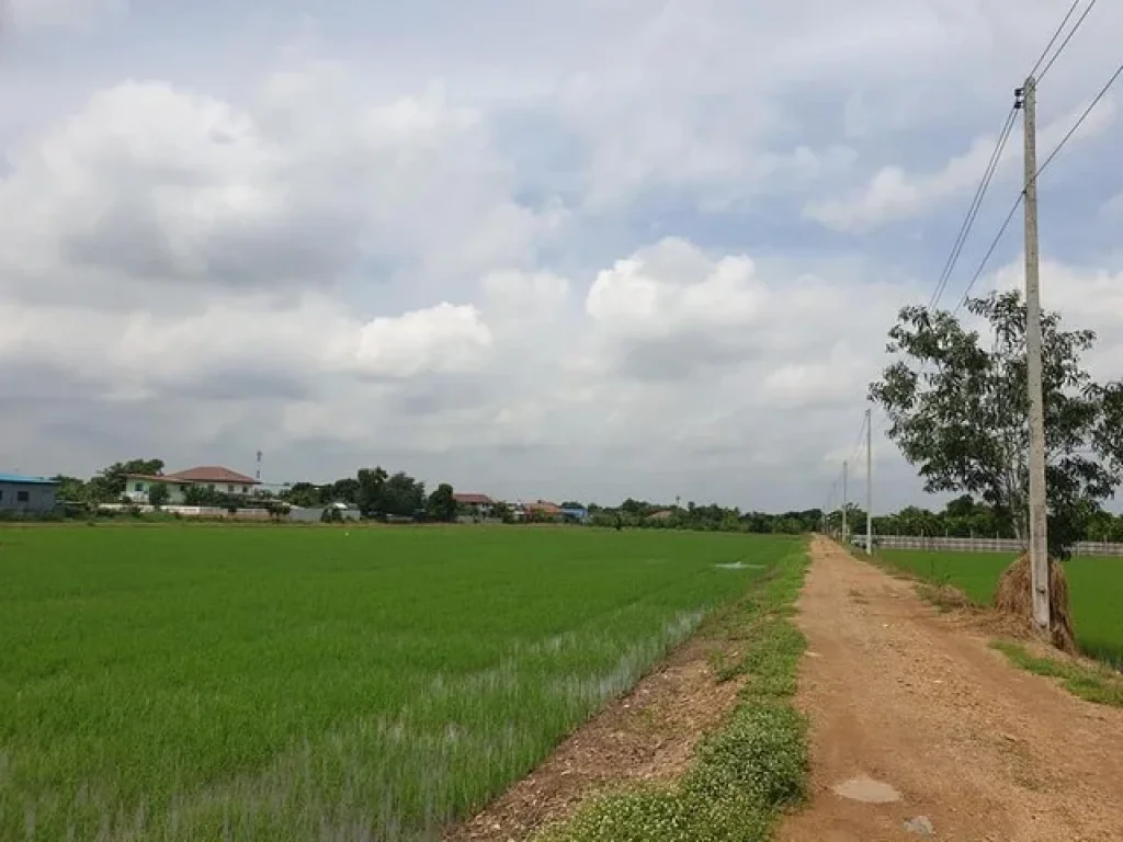 ขายด่วน ที่ดิน 30 ไร่ แปลงสวย พื้นที่สีชมพู ซคลองสาม 124 คลองหลวง ปทุมธานี