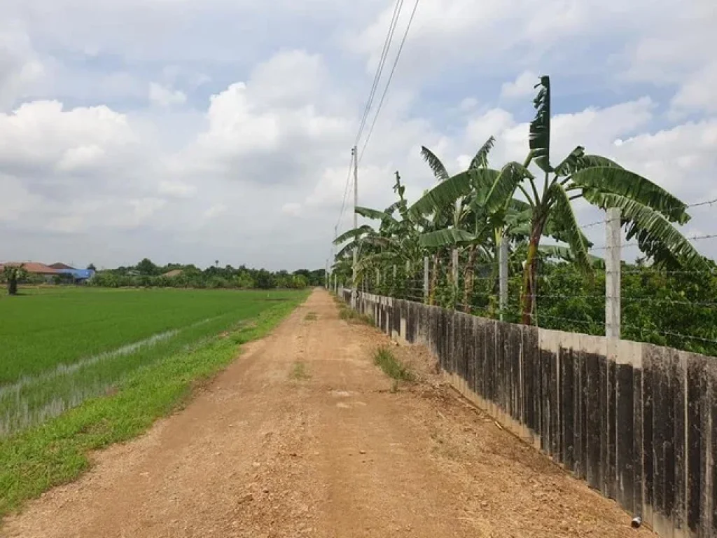 ขายด่วน ที่ดิน 30 ไร่ แปลงสวย พื้นที่สีชมพู ซคลองสาม 124 คลองหลวง ปทุมธานี