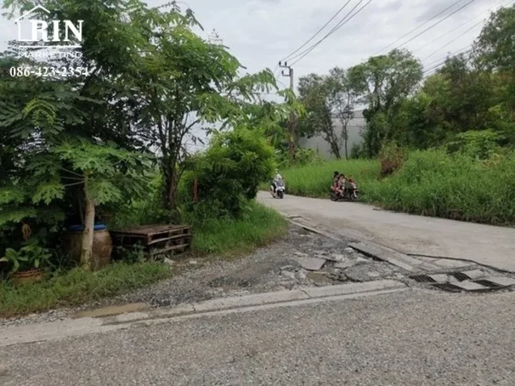 ขายที่ดินเปล่า 602 ตรว ซอยเฉลิมพระเกียรติ์ร 9 ซอย 30 แขวง ดอกไม้ เขต ประเวศ เป็นที่ดินแปลงมุมติดถนน 2 ด้าน