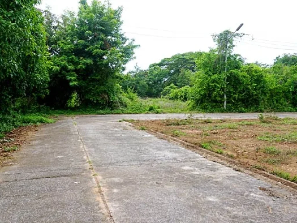 ขายที่ดิน บรรยากาศดี ใกล้ถนนเลียบคลองชลประทาน สันทราย เชียงใหม่