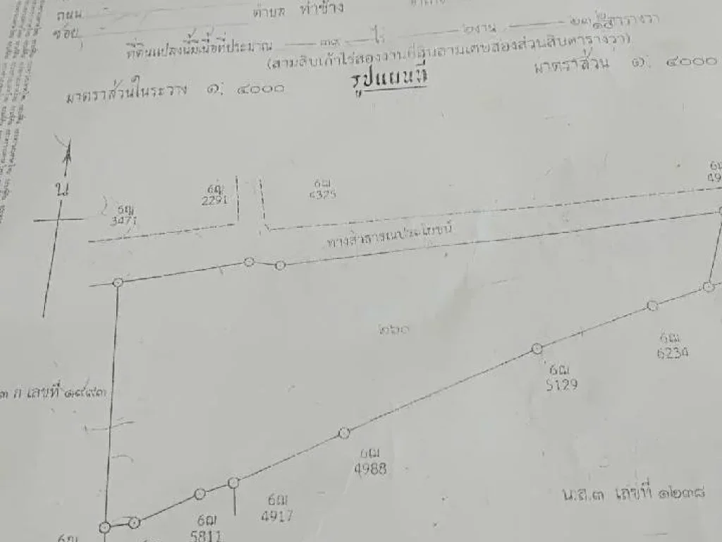 ที่ดินสวนทุเรียน 39 ไร่ หมอนทอง 1053 ตัน มีสระน้ำ บ่อบาดาร ติดถนน อกระเฉด จระยอง