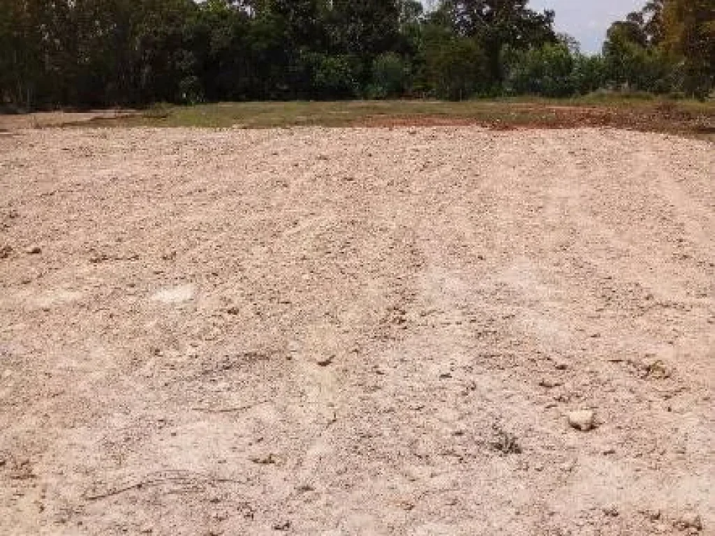 ขายที่ดิน ถมแล้ว ในอำเภอเสลภูมิ จังหวัดร้อยเอ็ด ผ่อนได้