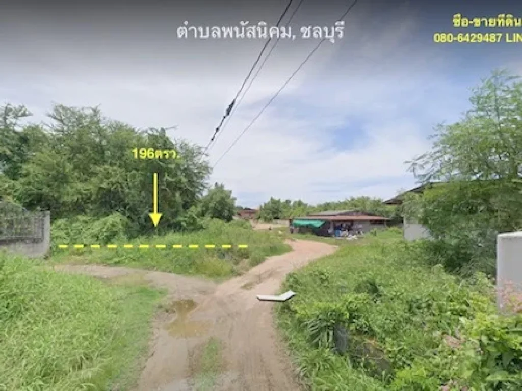 ขายที่ดินเนื้อที่ 196ตรวใกล้เทศบาลเมืองพนัสนิคม เหมาะปลูกบ้าน