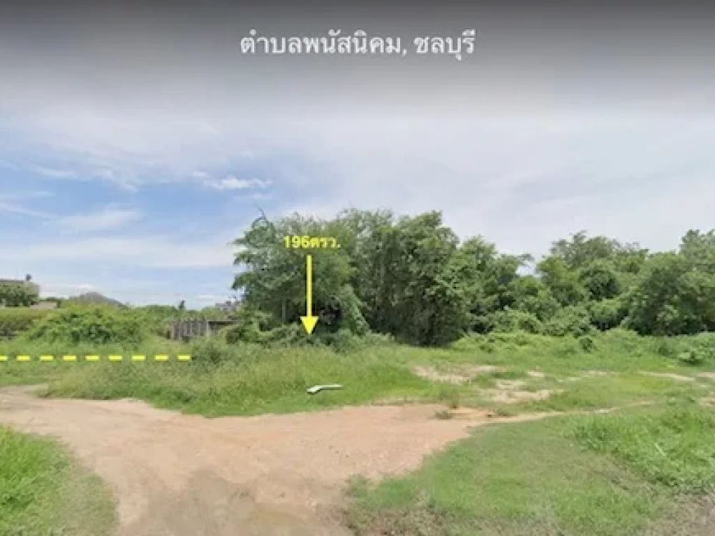 ขายที่ดินเนื้อที่ 196ตรวใกล้เทศบาลเมืองพนัสนิคม เหมาะปลูกบ้าน