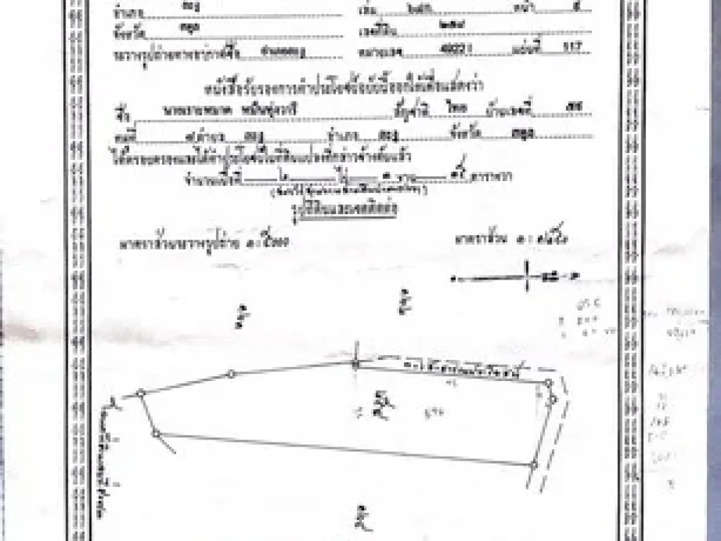 ขายด่วน ที่ดินสวนยาง 1200000 บาท บ้านนาพญา ตละงู อละงู จสตูล