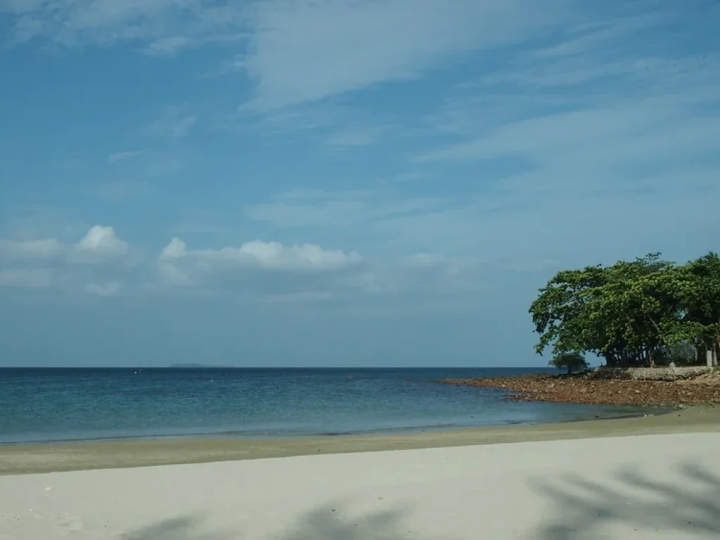 ขายที่ดินติดทะเลหาดทุ่งวัวแล่น เจ้าของขายเอง ไร่ละ 15 ล้านบาท