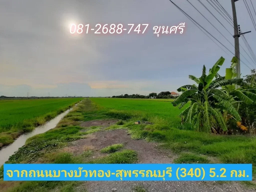 ขายที่ดิน 5 ไร่ ติดถนน นบ3015 ตำบลไทรใหญ่ อไทรน้อย จนนทบุรี