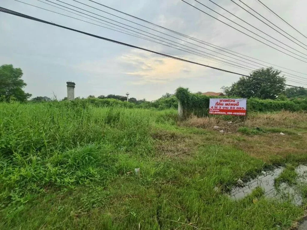 ขายที่ดิน ถมแล้ว ติดถนนสุวรรณศร อำเภอบ้านนา จังหวัดนครนายก