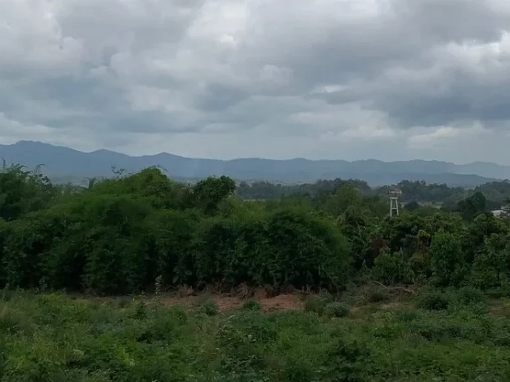 ขายที่ดิน อพาน จเชียงราย Land for sale in Chiang Rai Pan subdistrice