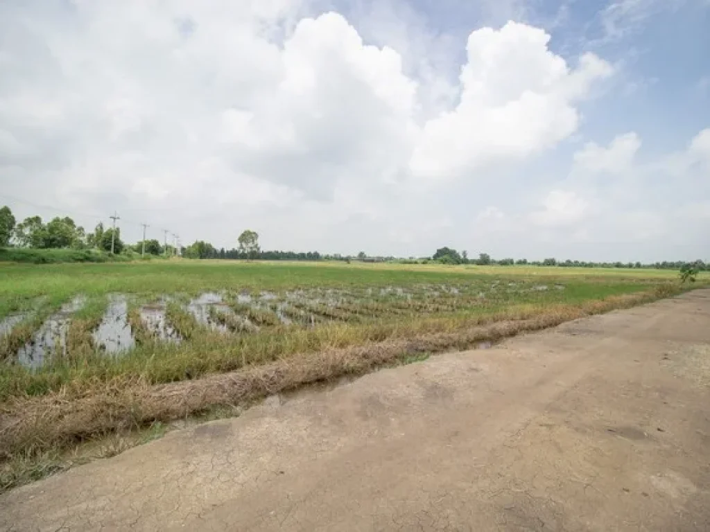 ขาย ที่ดิน ติดถนน เนินพระปรางค์ บางเลน สองพี่น้อง สุพรรณบุรี